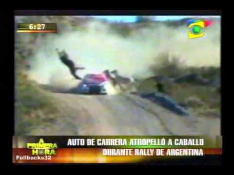 Youtube: Car Accident with horse in a Rally Race