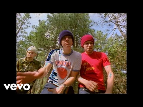Youtube: Beastie Boys - So What'Cha Want