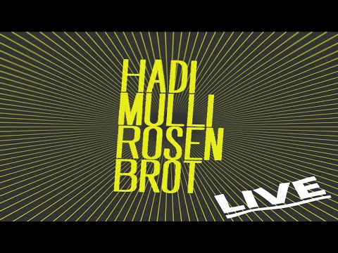 Youtube: HadimulliRosenbrot - Im Rausch [LIVE im Stockwerk Graz | 20.11.2025]