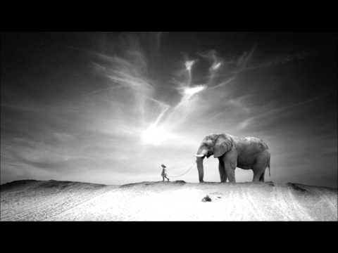 Youtube: Ten Walls - Walking with Elephants (Original Mix)