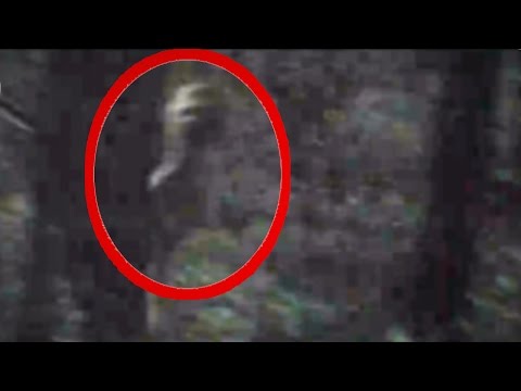 Youtube: Scariest Alien Video Ever (18+)