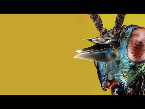 Youtube: YOTTO - Nova (Official Audio) [Odd One Out]