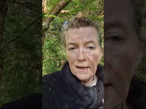 Youtube: Öffentlich-rechtlich? Das ist keine Ambivalenz –das ist Meinungslenkung. #hope #timmy