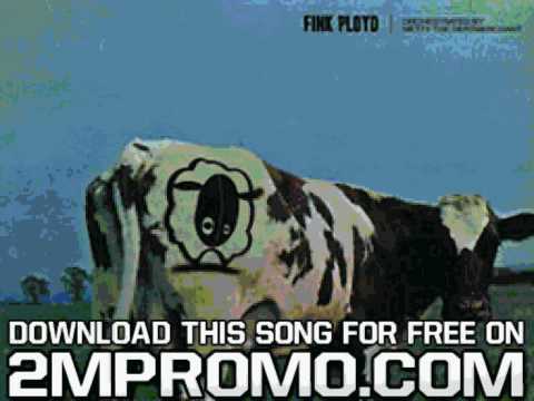 Youtube: Metty The Dertmerchant Fink Ployd I Just Trip Feat Fatty Down