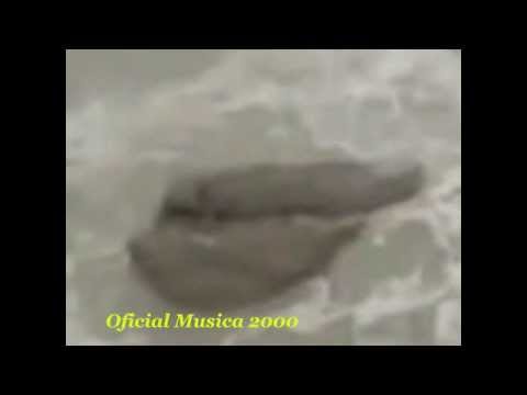Youtube: MERMAID IN ISRAEL 2013 Sighting Real Life Footage Awesome Video