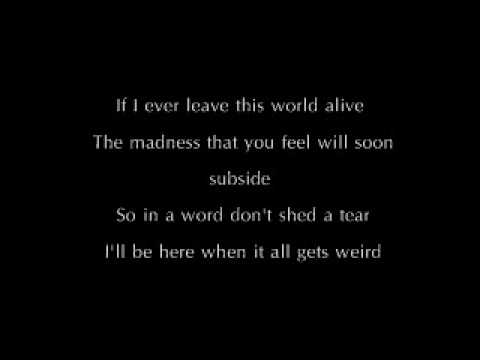 Youtube: If I Ever Leave This World Alive - Flogging Molly Lyrics
