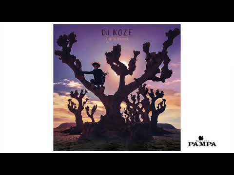 Youtube: DJ Koze - Bonfire