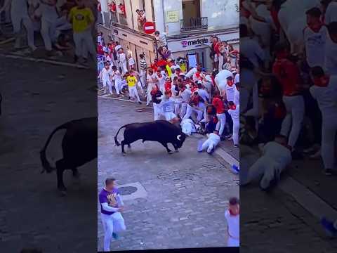 Youtube: Voltereta y le perdona la vida. 7 encierro de San Fermín (13.7.25) 🐂 #sanfermin #toros #encierro