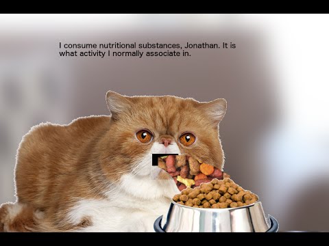 Youtube: Realistic Garfielf