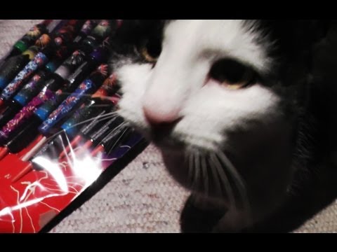 Youtube: INTERAKTIVES RAKETEN VIDEO MIT KATZE <i class=