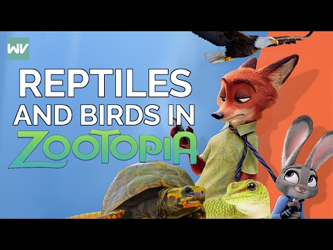 Youtube: No Birds or Reptiles in Zootopia Explained | Zootopia Theory: Discovering Disney