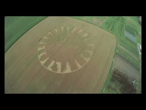 Youtube: Ansty reveal 2016 crop circle