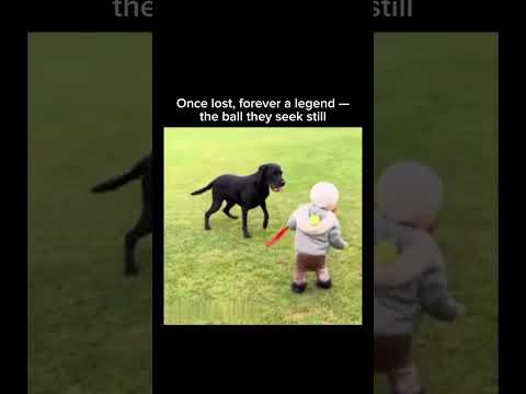 Youtube: Music & memes – the perfect combo! 🎶 🤣#pets #funnygame #dogsandkids