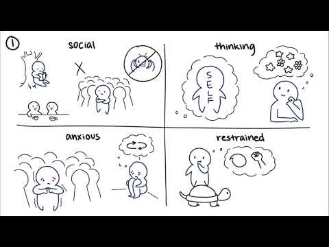Youtube: 10 Interesting Facts About Introverts