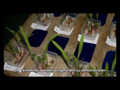 Youtube: 2017 03 09 PM Public Teachings in German - Öffentliche Schulungen in Deutsch