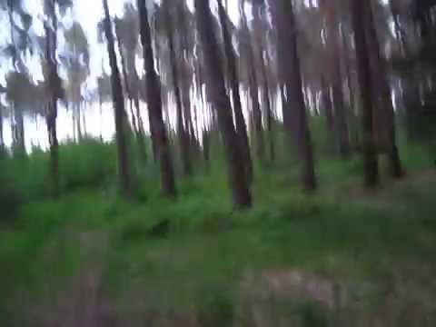 Youtube: Hoia Baciu Forest ( The infamous Notorious Circle of Romania) 2015