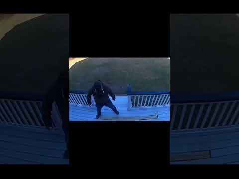 Youtube: Terrasse nimmt Revanche 😂 | 📩 Newsletter im Bio