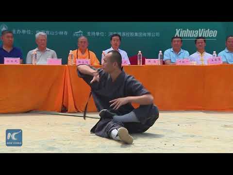 Youtube: Shaolin Kung Fu show wows audience