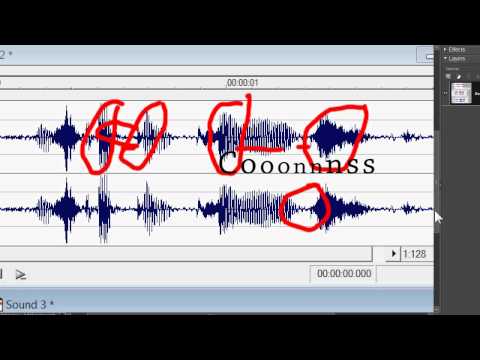 Youtube: Analyzing George Zimmerman 911 Audio "Punks" or "Coons"