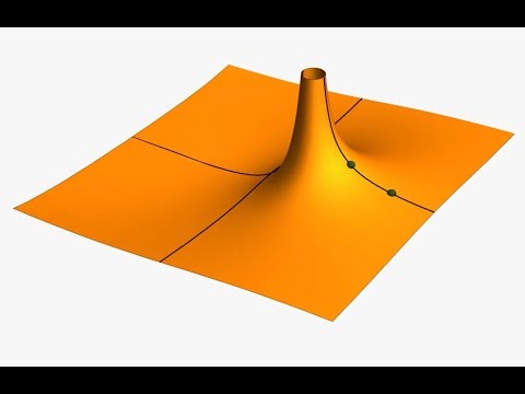 Youtube: Die Riemannsche Vermutung (Weihnachtsvorlesung 2016)
