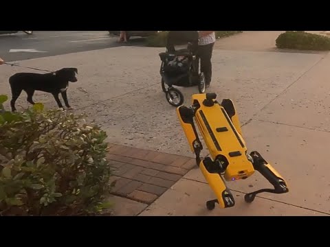 Youtube: Robot Dog meets Real Dog  // Scrappy's Adventures