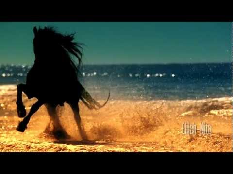 Youtube: Magic of Horses - Die Magie der Pferde ( Video HD )