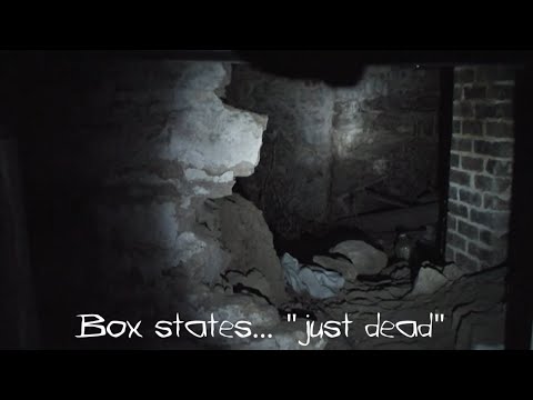 Youtube: Scariest Ghost Box Recording EVER! Real Sounds of Demons Talking in the Sallie House