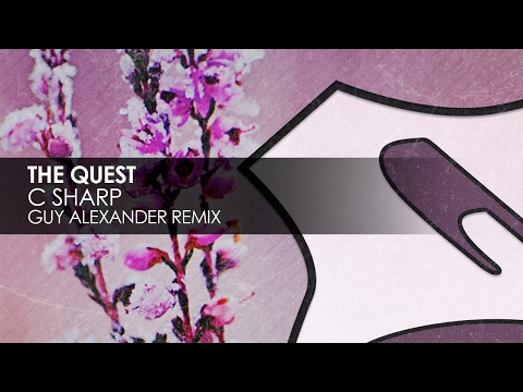 Youtube: The Quest - C Sharp (Guy Alexander Remix)