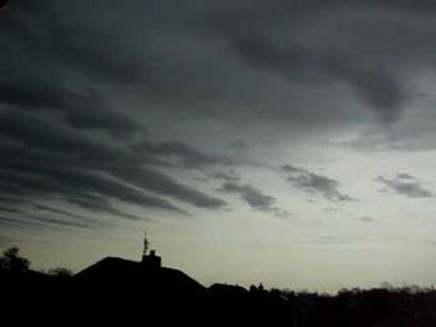 Youtube: Timelapse Undulatus