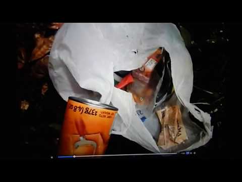 Youtube: New Evidence in the Criminal Cold Case of Kris Kremers/Lissane Froom: Feb2020