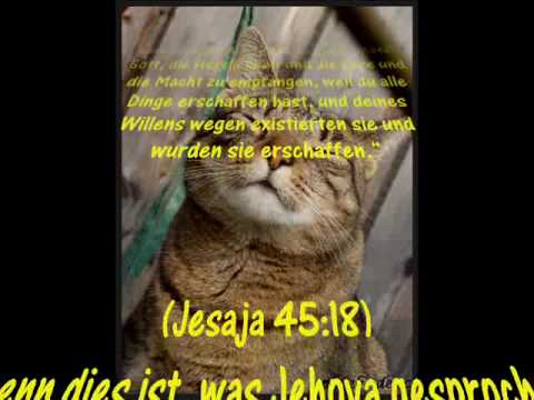 Youtube: Warum ich ein ZEUGE JEHOVAS wurde :-)