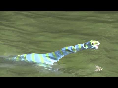 Youtube: ラジコン ネッシー RC LOCH NESS Monster