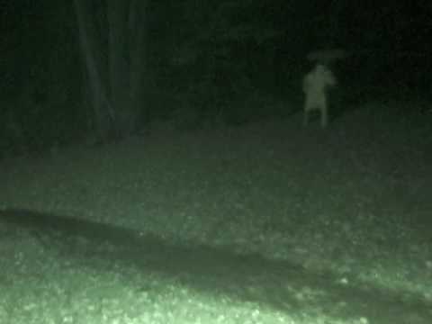 Youtube: HAUNTED HILLSIDE CEMETERY GHOST VIDEO
