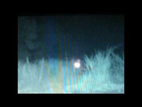 Youtube: REAL ALIEN SIGHTING!  Spooky Original Video/sighting