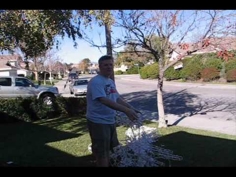 Youtube: Space Shuttle Endeavor Sonic Boom in Valencia, CA