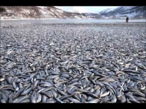 Youtube: Watch this and you will know we're in END TIMES!