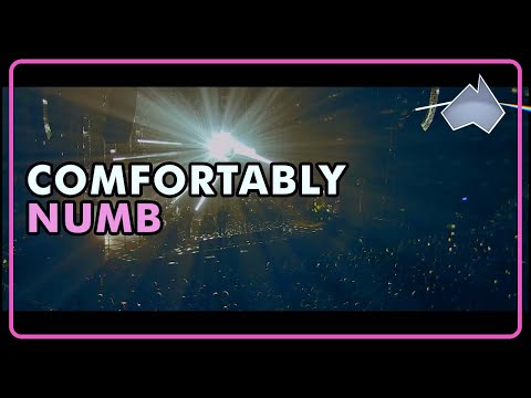 Youtube: Comfortably Numb - Pink Floyd Cover Performed by The Australian Pink Floyd Show