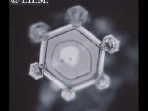 Youtube: Water, Consciousness & Intent: Dr. Masaru Emoto