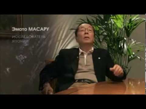 Youtube: Masaru Emoto's Rice Experiment 2014 - Die Seele der Gesundheit