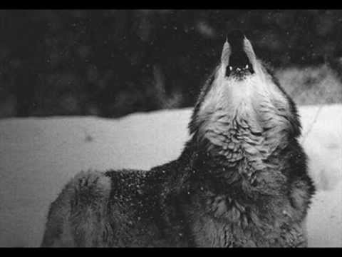 Youtube: Werewolf - Night Hunter