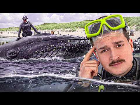 Youtube: Buckelwal "HOPE" ist die größte Psychose 2026