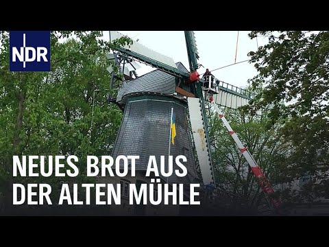 Youtube: Frischer Wind für die alte Mühle | Die Nordreportage | NDR Doku