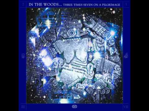 Youtube: In The Woods... - Epitaph [King Crimson cover]
