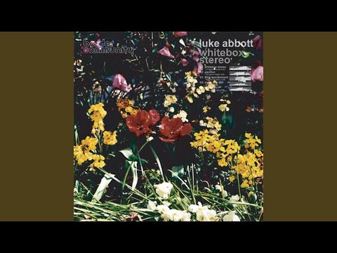 Youtube: Whitebox Stereo