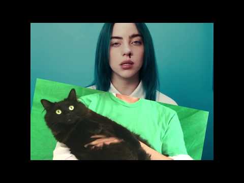 Youtube: Billie Eilish + OwlKitty - Bad Cat (Behind the Scenes)