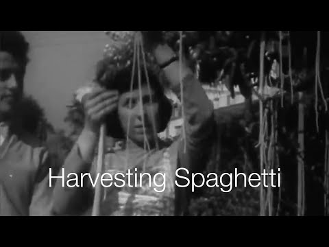 Youtube: BBC: Spaghetti-Harvest in Ticino | Switzerland Tourism