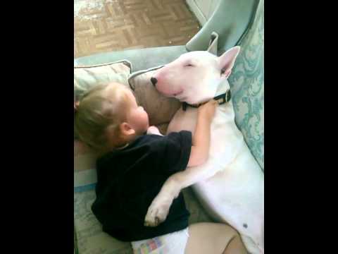Youtube: Little Girl And Bull Terrier Cuddle