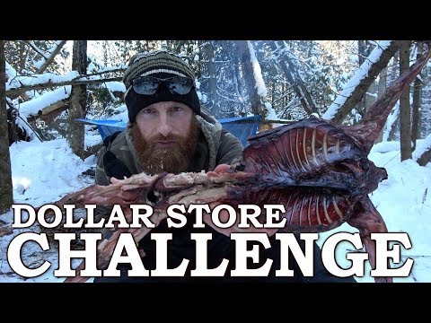 Youtube: Winter Solo Survival Challenge with Minimal Tools! | Bushcraft Shelter, Spit Roast Cooking Wild Food