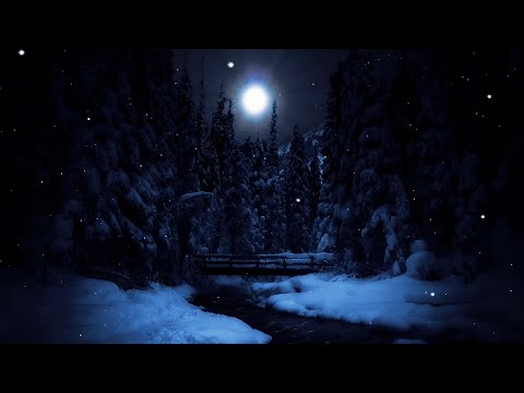 Youtube: Owls hooting and a gentle stream flowing in the night
