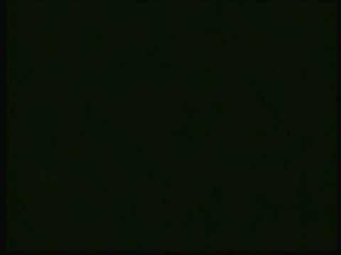 Youtube: Beelitz 2010 Teil 4 von 4